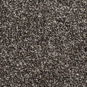 Daytona 10002 Flint Carpet