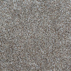 Daytona 10006 Golden Sand Carpet