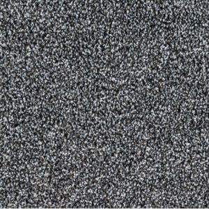 Daytona 10007 Iron Gate Carpet