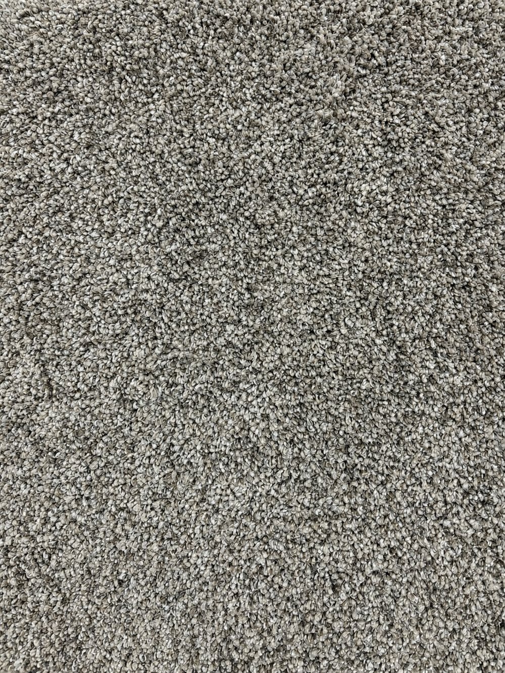 Equinox 80018 Boulder Carpet