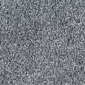 Leon 10201 Anchor Carpet