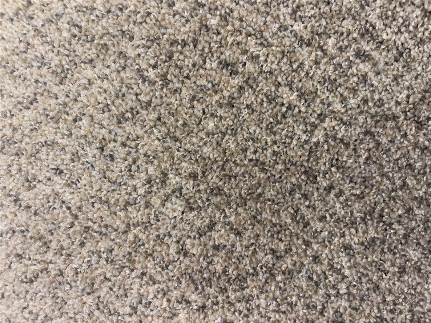 Rockies 200502 Mighty Beige Carpet