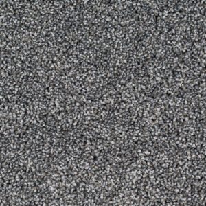 Winter 10001 Foxy Carpet