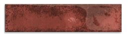 Aqua Coral Polished Porcelain Tile