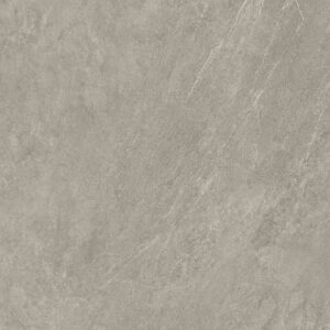 Delphin Silver 12″X24″ Matte