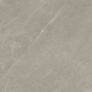 Delphin Silver 24″X48″ Matte