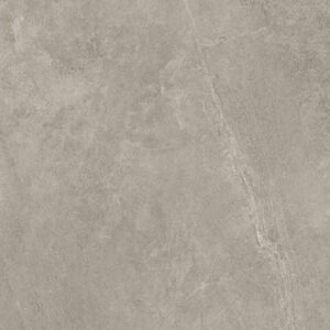 Delphin Silver 24″X24″ Matte