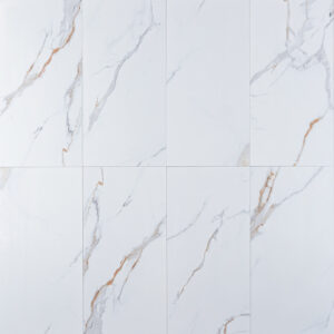 Arctic Bronze Polished 12"X24"