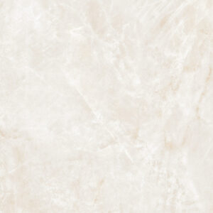 Taj Mahal 12"X24" Matte